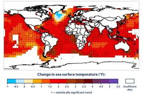 Rising sea surface temperatures in Bay of Bengal could impact Indian monsoon