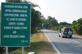 Kaziranga infrastructure work impacts wildlife mobility Green Activists