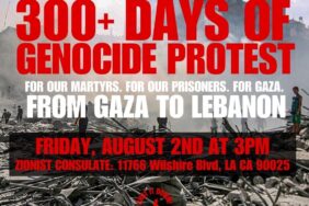 300 Days of Genocide in Gaza: A Humanitarian Crisis Unfolds